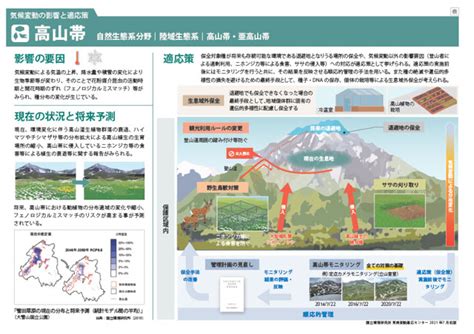 高山帯｜自然生態系分野｜陸域生態系｜高山帯・亜高山帯 地域の適応策 地域の適応 気候変動適応情報プラットフォーム（a Plat）