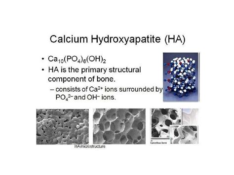 Hydroxyapatite Younes Sina