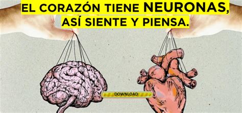 neuronas en el corazón archivos Daniel Colombo