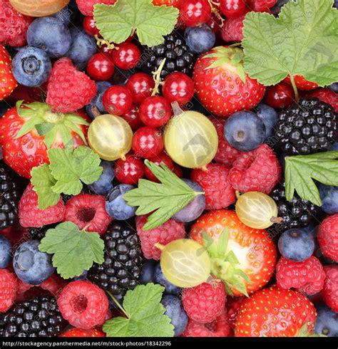 Beeren Früchte Beere Frucht Erdbeeren Himbeeren Lizenzfreies Foto