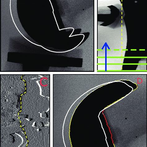 A Contour Detection Starts With A Virtual Projection In White The