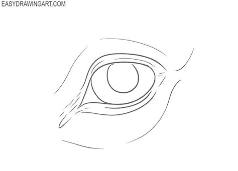 How to Draw a Horse Eye - Easy Drawing Art