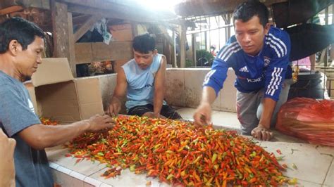 Pedagang Dan Masyarakat Kota Serang Keluhkan Harga Cabai Yang Meroket