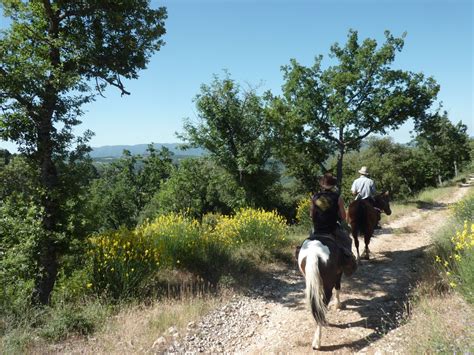 Randonnée à Cheval En Provence La Route Napoleon Du Verdon A La Haute