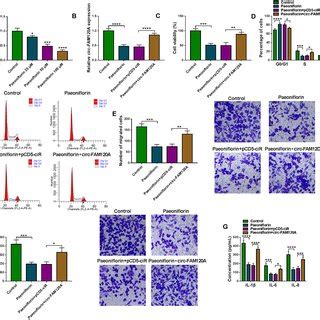 Effects Of Paeoniflorin On Proliferation Cell Cycle Arrest Migration