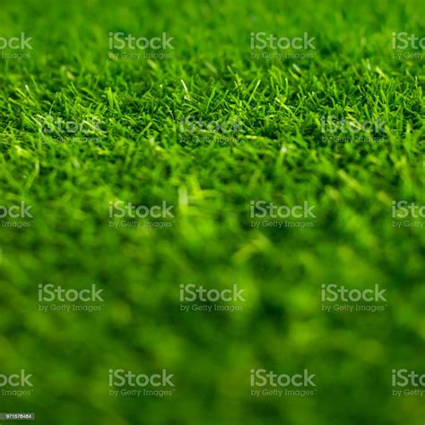 Background Hijau Rumput 53 Koleksi Gambar