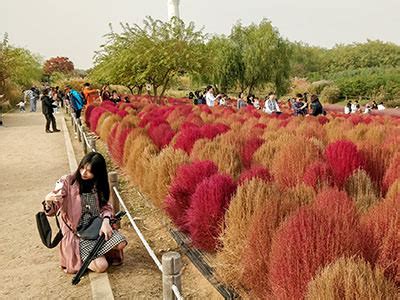 Haneul Park Seoul (PHOTOS): Sky Park Turned Trash to Treasure