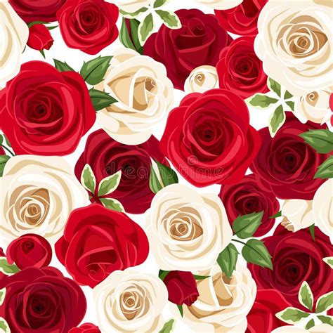 Modello Senza Cuciture Con Le Rose Rosse E Bianche Illustrazione Di