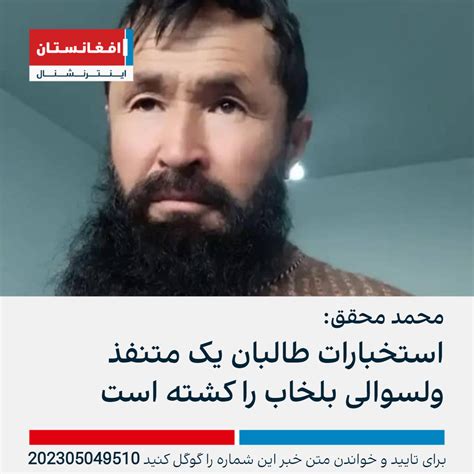 محمد محقق استخبارات طالبان یک متنفذ ولسوالی بلخاب را کشته است