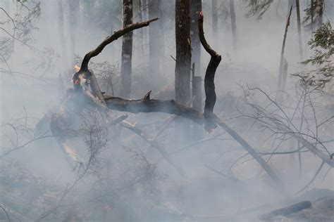 La Aemet Explica El Motivo Por El Que Llega A España El Humo De Los