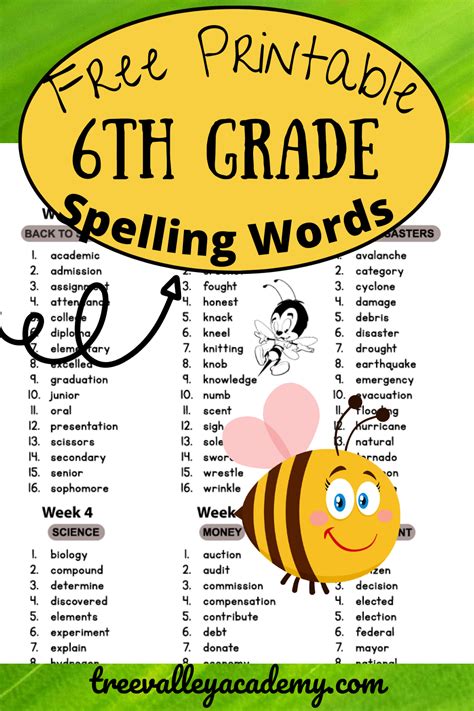 Grade 6 Spelling Words Tree Valley Academy