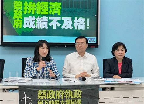 藍批蔡執政八年拚經濟不及格 低薪又通膨貧富差距大 中華日報 Line Today