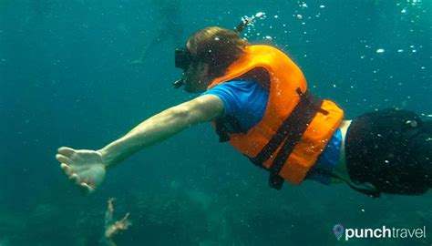 The Ultimate Guide to Snorkeling Redang Island - Punch Travel