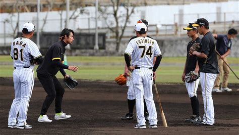 鳥谷臨時コーチの話を聞く阪神・大山（右）ら （撮影・後藤 大輝） ― スポニチ Sponichi Annex 野球