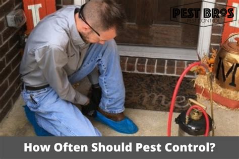 How Often Should Pest Control Be Done In Texas