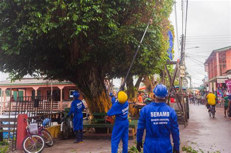 SEMAMB adquire novos equipamentos para a poda das árvores Prefeitura