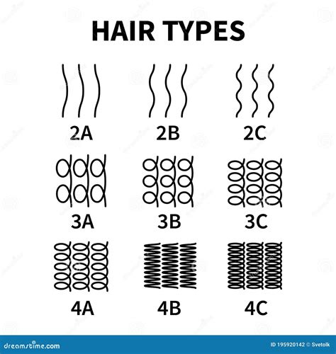 头发类型图的矢量插图与所有Curl类型的标记了 冰壶女孩方法概念 波线圈和Curl 向量例证 插画 包括有 拉丁语 处理