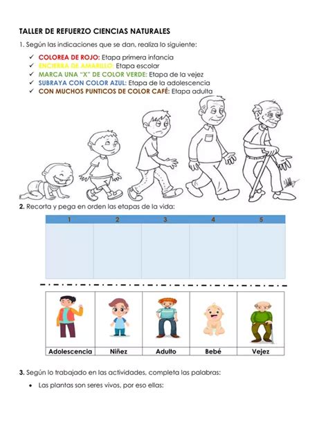 Refuerzo Ciencias Naturales Grado Primero Profe Social