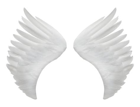 White Angel Wings 21887833 PNG