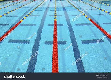 Lanes Competition Swimming Pool Stock Photo 197410067 Shutterstock