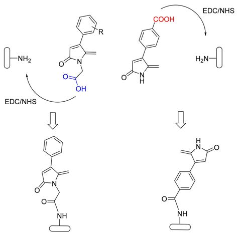 Scheme Specific Covalent Attachment Of Dhps On Amine Functionalized