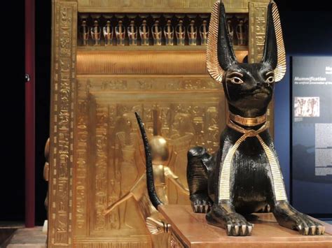 Dios Gato De Egipto Historia Y Poderes Del Felino Sagrado