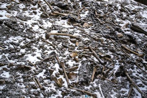 India’s Skeleton Lake contains bones of mysterious European migrants | Science News