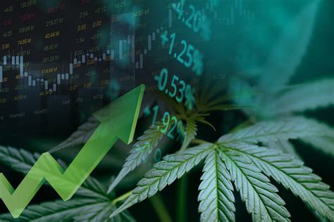 These Cannabis Stocks are Poised to move this Year - EmergingGrowth.com