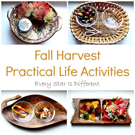 Fall Harvest Practical Life Activities - Every Star Is Different