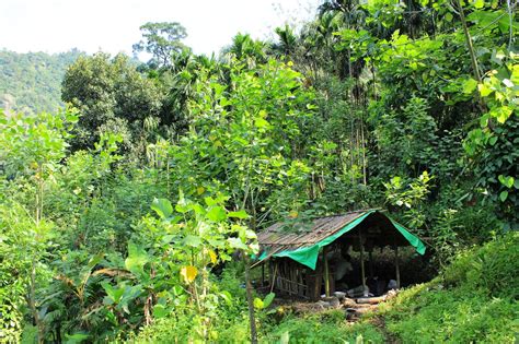 Chennai Hikers Group Tribal Settlement Valparai