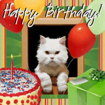 Cat Gif Birthday Wishes Please use karma decay to see if your gif has already been submitted