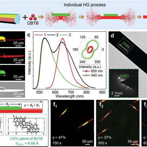 Illustration Of The Dynamic Epitaxial Growth Strategy For Organic