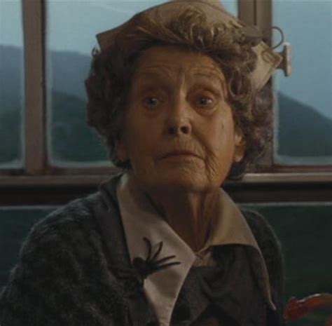 Trolley Witch Harry Potter Wiki Fandom