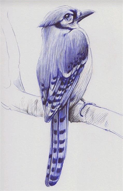 ART LOVER MUKTHA | Pen art drawings, Ink pen art, Ballpoint pen art