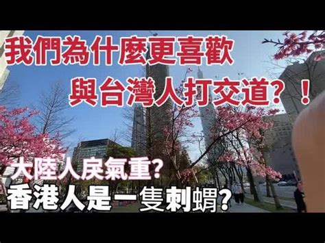 我們為什麼更喜歡與台灣人打交道？！「繁中字幕」大陸人戾氣重？香港人是一隻刺蝟！｜摩沙淺淺 影片 摩沙淺淺 台灣媳婦 乾淨世界