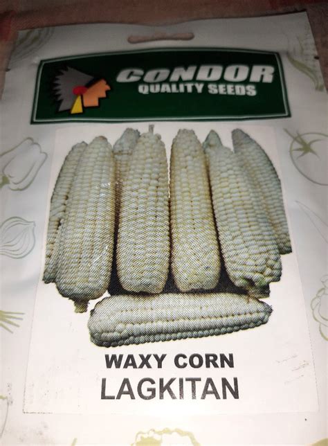 White Corn Waxy Corn Glutinous Corn Lagkitan 10grams Condor