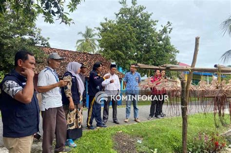 Miliki Potensi Gurita Linau Diusulkan Jadi Smart Fisheries Village