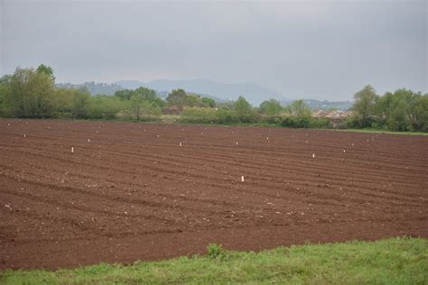 Vi E Od Stanovnika I Ove Godine Koristit E Zemlji Te U Dr Avnom