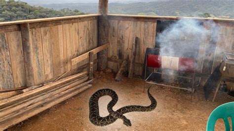 Encontrei Mais Uma Cobra No Rancho Da Montanha Youtube