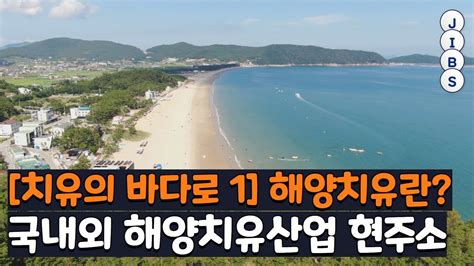 치유의 바다로 1 해양치유란 국내외 해양치유산업 현주소 JIBS 제주 2022 08 03 YouTube