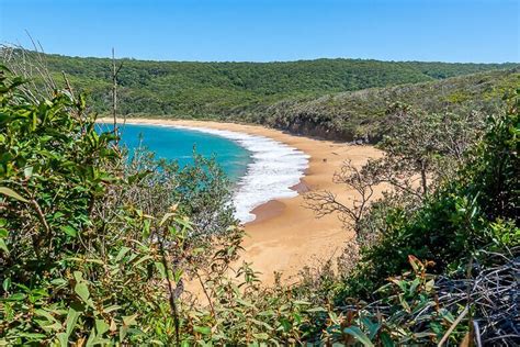 25 Best Beaches on the Central Coast NSW