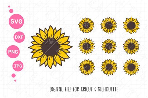 Sunflower Svg Bundle Sunflower Svg Flower Svg 2155631