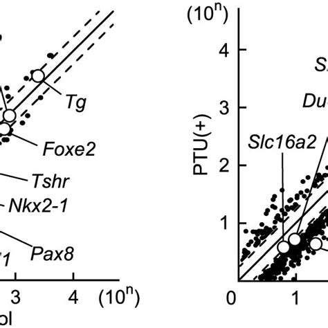 Western Blot Analysis Of Dehal Protein In Frtl Cells Treated With