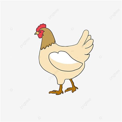 Ayam Clip Art