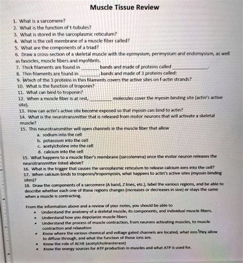 SOLVED: Muscle Tissue Review 1. What is a sarcomere? 2. What is the function of t-tubules? 3 ...