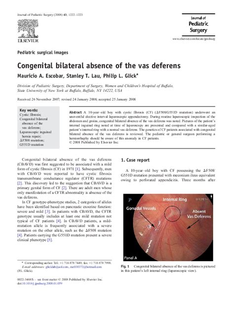 Pdf Congenital Bilateral Absence Of The Vas Deferens A Primarily Genital Form Of Cystic