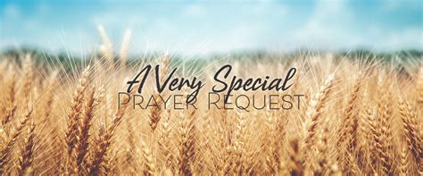 A Very Special Prayer Request