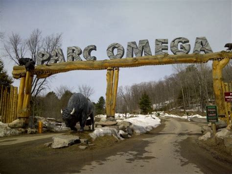 Parc Omega - Montebello, PQ | Parks canada, Quebec city, Montreal quebec