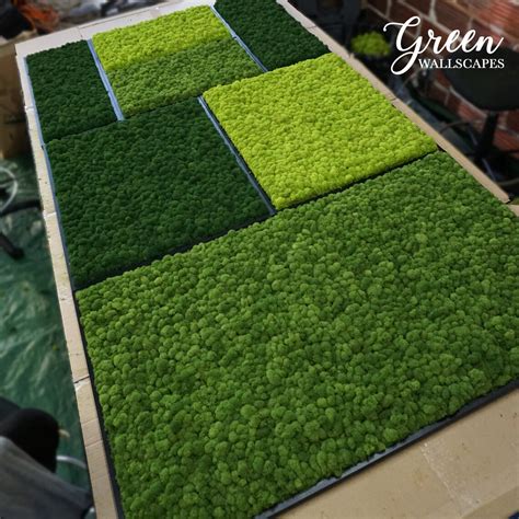 Custom Reindeer Moss Wall Green Wallscapes Reindeer Moss Wall Moss Wall