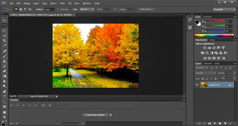 Adobe Photoshop Cc 2020 Free Download Software Sea